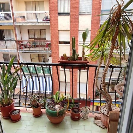 Dormitorios Piso Gandía Εξωτερικό φωτογραφία